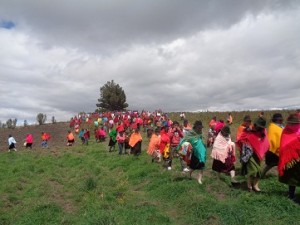 DSC00942